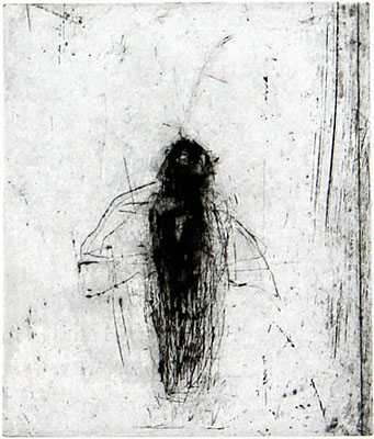 Helena Bergenrud  bergenrud.com  FÅGELTECKEN, 11 X 13 CM torrnålsgravyr, drypoint, kaltnadel radierung